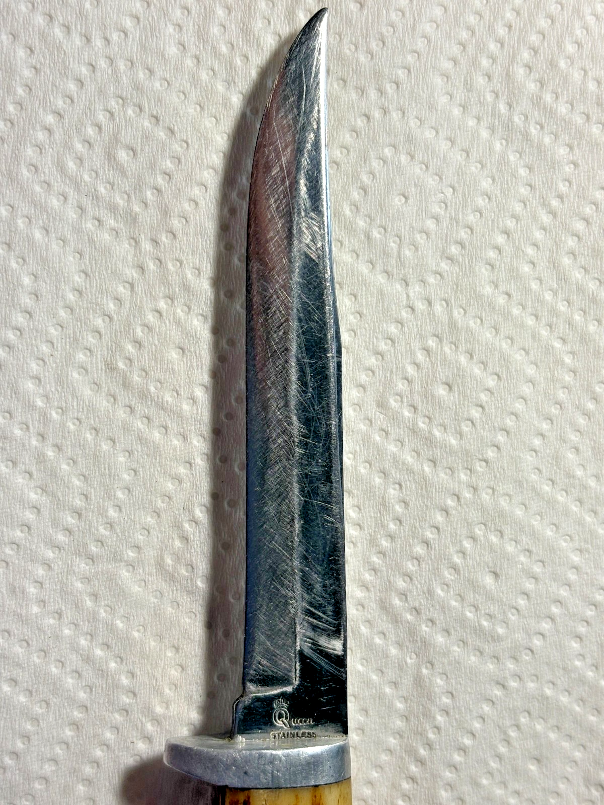 Vintage Queen Stainless Fixed Blade Knife & Stag Horn Bone Handle | eBay