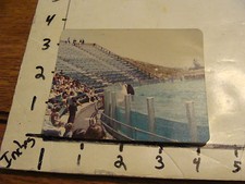 VINTAGE 1970's  PHOTOGRAPH: ORCA AT SEAWORLD