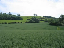 Photo 6x4 Spring Hill Looking across to Spring Hill from the footpath to  c2006