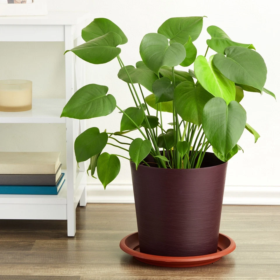 Paquete de 8 bandejas de goteo redondas de plástico para platillos de plantas, base de maceta de terracota (12 pulgadas) Foto 2 de 4