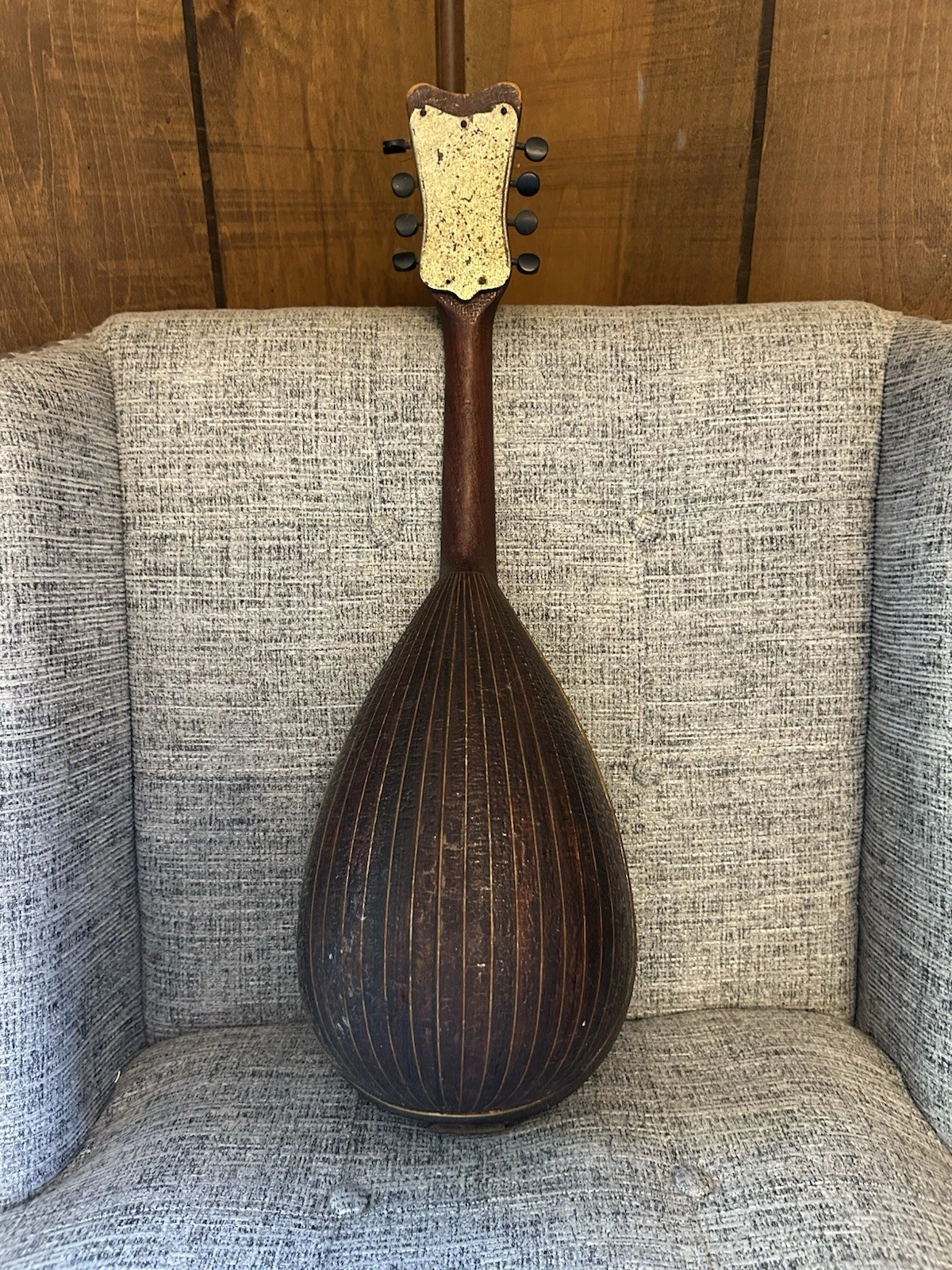Picture 8 of 19