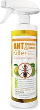 Natural Ant Killer & Insect Spray - Fast-Acting 16 oz, Safe for Kids & Pets