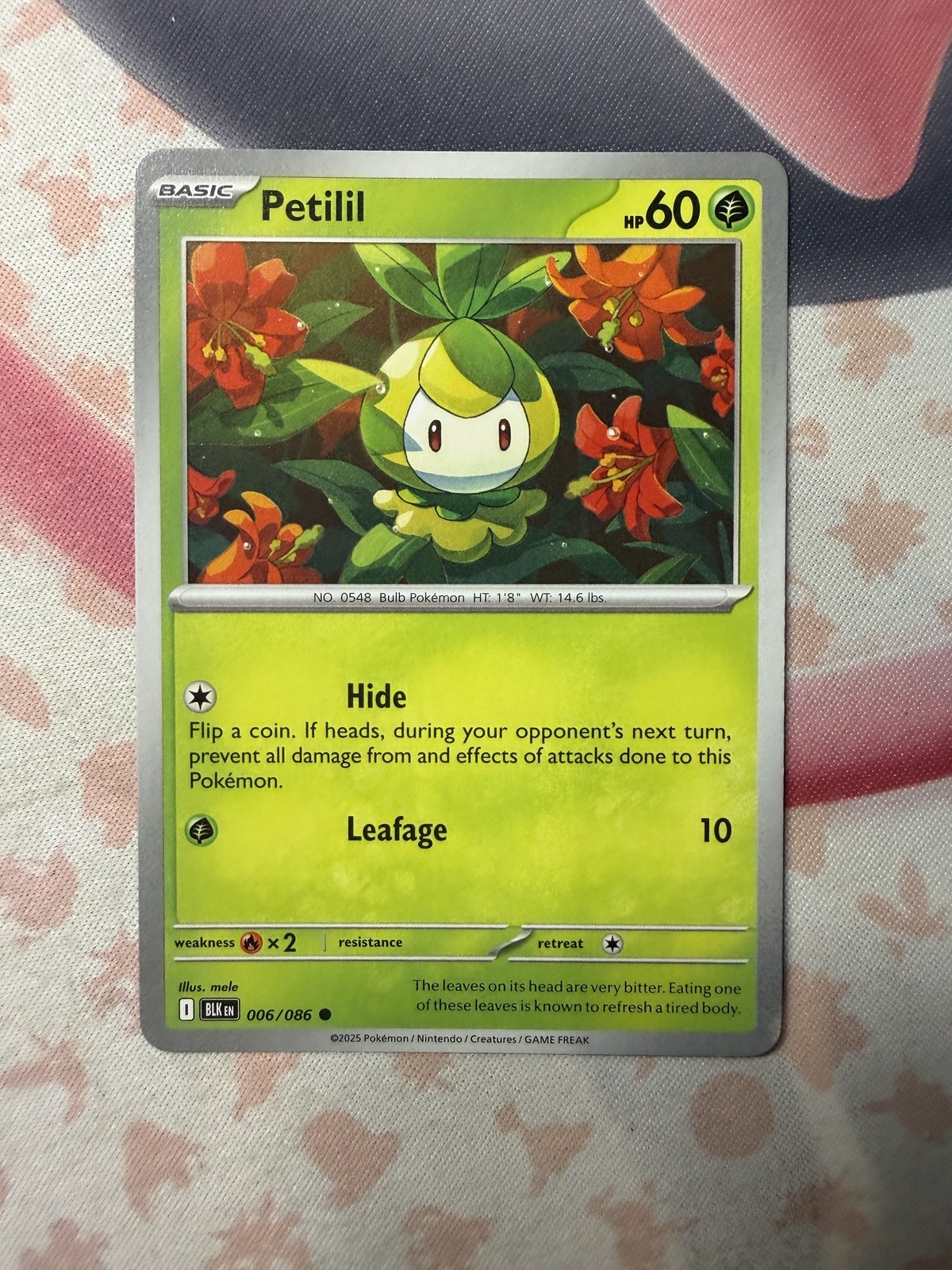 Petilil Common SV: Black Bolt 006/086 NM English Pokemon Card
