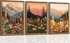 Framed Boho Abstract Landscape Mountain and Floral Canvas Wall Art Set of 3, ...