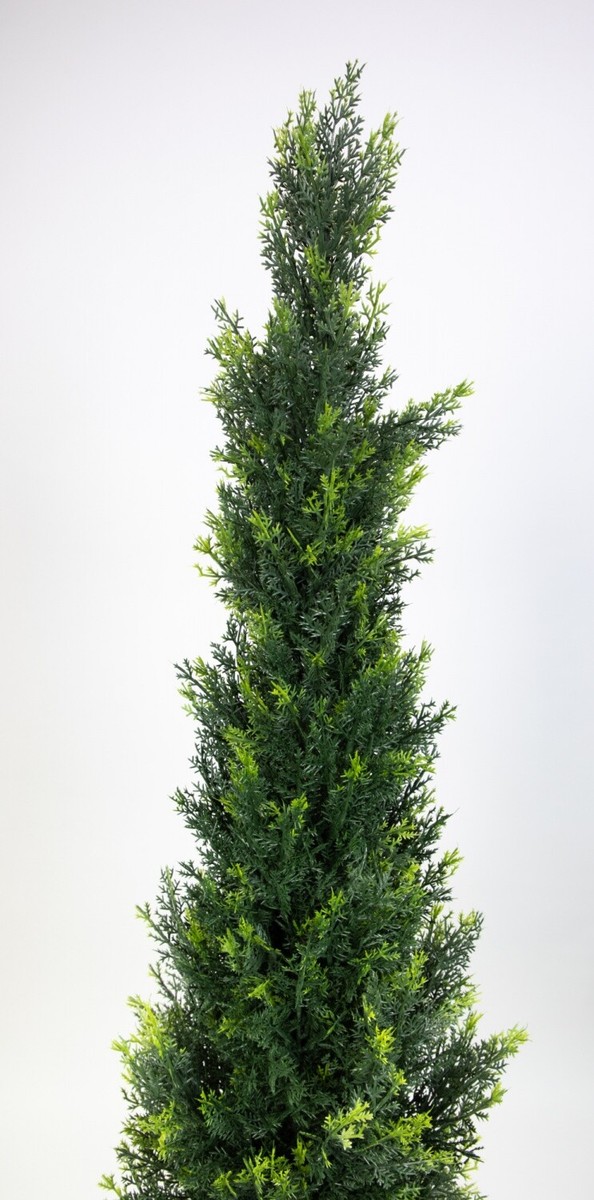 Zeder / Konifere Natura 180cm LA Kunstpflanzen knstliche Pflanzen Thuja |  eBay.de