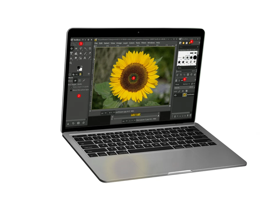 GIMP 3 (2025 Edition) Pro Graphic Design - Photo Editing Software Program on CD - Image 3 of 4