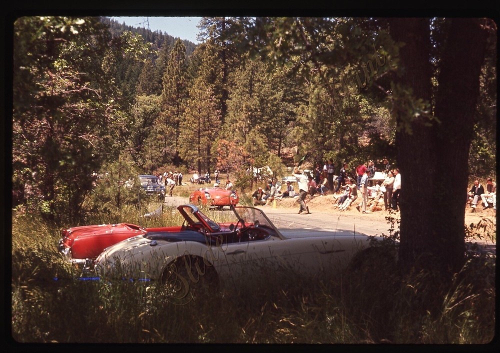 Racing Race Cars California Crowd 1960s 35mm Slide