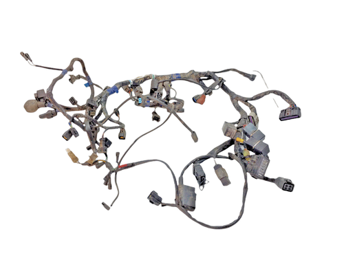 cablaggio impianto elettrico TRIUMPH TIGER 1050 2006 2012 CON 16124 KM - Imagen 1 de 6