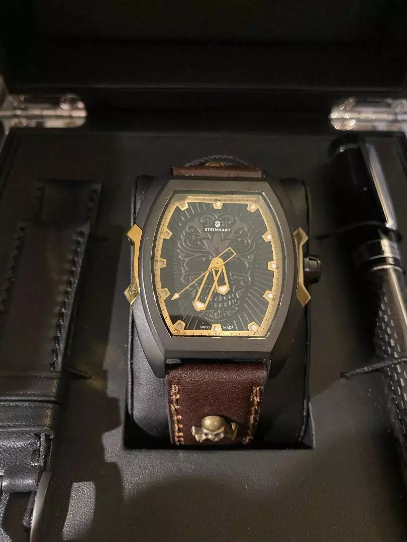 Steinhart skull deals watch