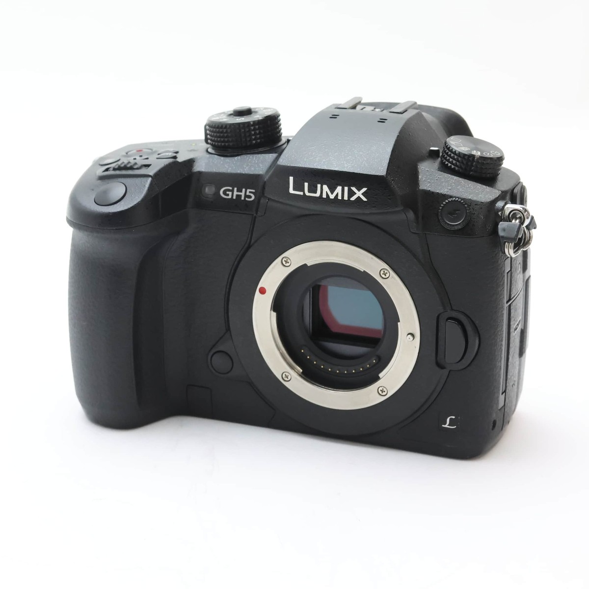 Panasonic LUMIX DC-GH5 Body #213 | eBay