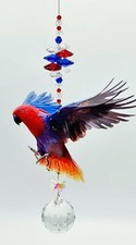 Eclectus Parrot Crystal Suncatcher gift, (more designs) sun catcher  suncatchers