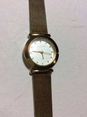  Skagen Women's Gold Tone  Steel Mesh Bracelet Watch