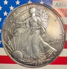 Exquisite 1999 Silver Eagle - honey-hued around the rim - Ungraded - BU