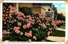 Postcard HOUSE SCENE Portland Oregon OR o/19 AK5666