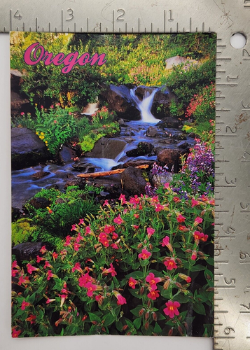 Postcard - The splendor of Oregon's beauty is captured on a Spring day Unposted - Picture 3 of 3