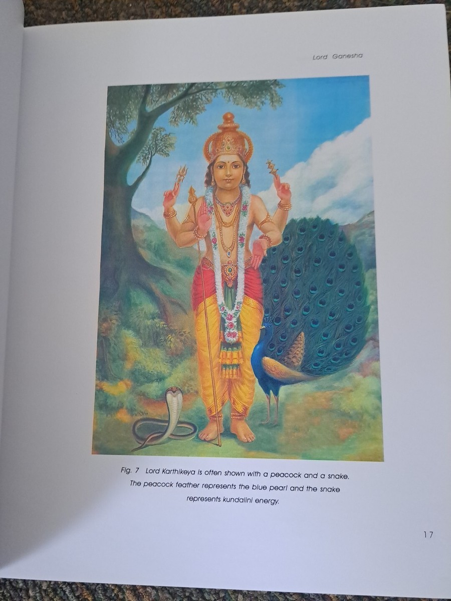 Inner Teachings of Hinduism Revealed - By Master Choa Kok Sui
