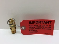 ST ST25 1/4" Brass Soft Seat Asme Safety Valve 100 Psi Set Pressure 1/4 Male NPT