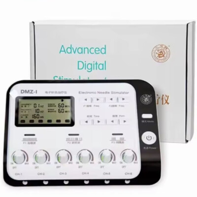 6Output Channel Electroacupuncture Electric Muscle Stimulator