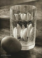 1950s JOSEF SUDEK Vintage Still Life Glass Eggs Original Photo Gravure Art 11x14