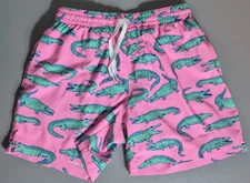 Chubbies The Glades Alligator 5.5" Swim Trunks Shorts w/ Liner Mens S Pink Green