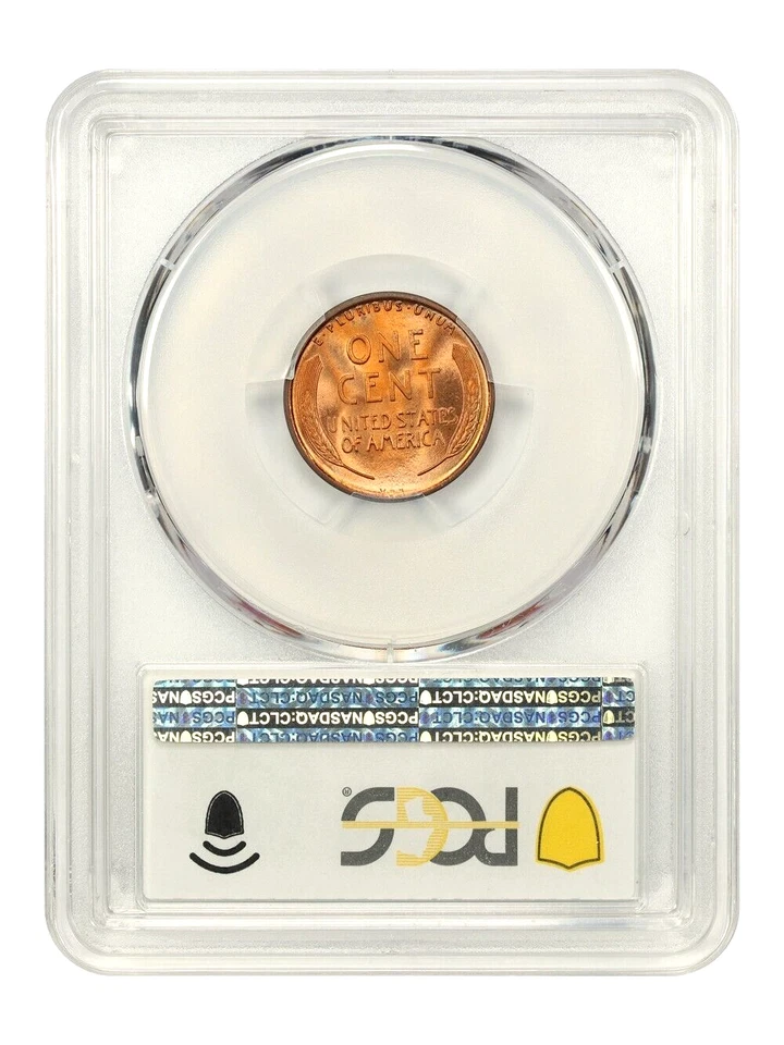 1909 VDB  Lincoln Cent  PCGS MS66+RD CAC - Image 4 of 4