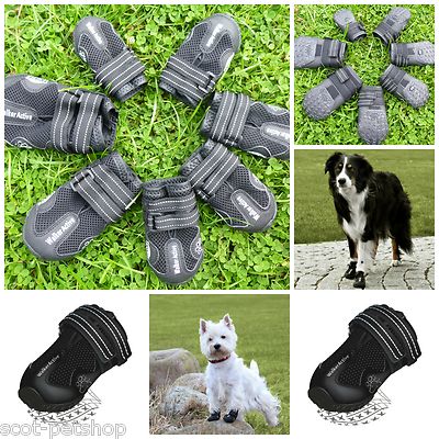 walker active dog boots