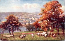 Postcard Scotland Tucks 7015 Scott's Country - Melrose Abbey