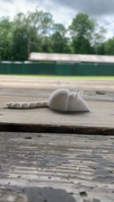 Articulated Mouse
