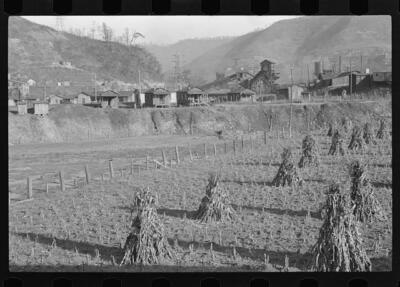 Williamson West Virginia 1930s Historic Old Photo 4