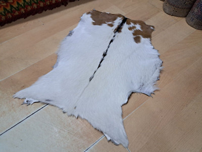Genuine Goat Skin, Mottled Leather, Goat Hide, Bedroom Rug, Wall Art, 1.4 x 2 ft