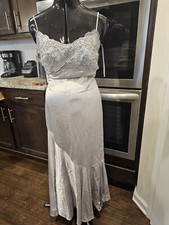 Loralie Grey Silver Lace Sheer Long Gown Size 6