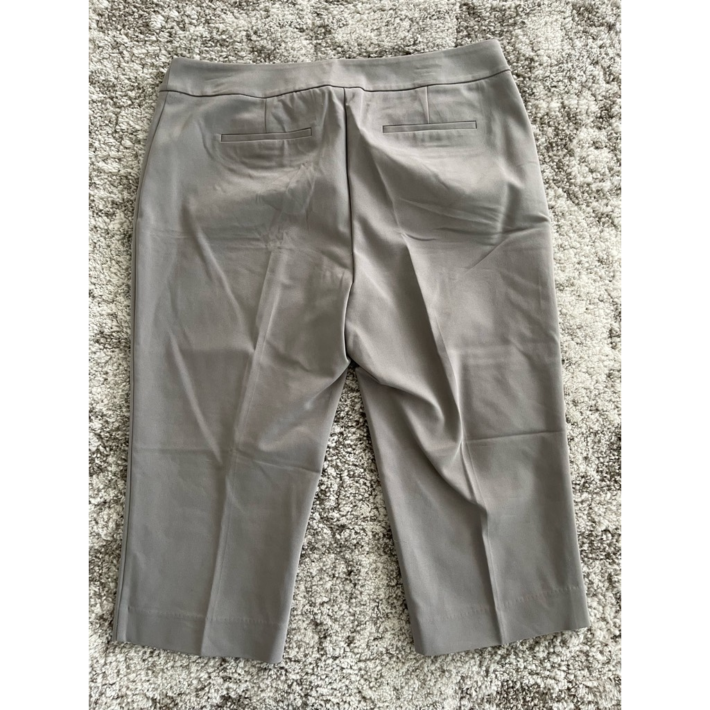 Apt. 9 Womens Curvy Fit Capri Pants Gray Slash Pockets Flat Front Petites  14P | eBay