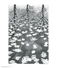 Three Worlds by M. C. Escher Art Print Fantasy Koi Fish Pond Poster 21.75x25.5