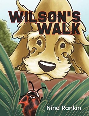Wilson's Walk, Nina Rankin