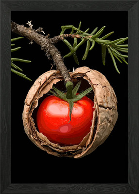 Tomate in a Nut Gerahmtes Wandbild Poster Leinwanddruck Bild