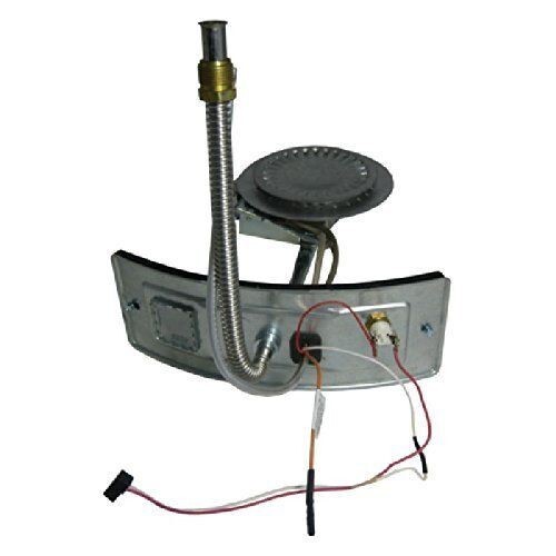 AO Smith 9007905005 gruppo porta bruciatore residenziale scaldabagno naturale eredità - Foto 1 di 1