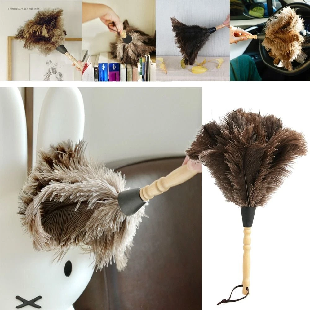 Ostrich sale feather brush