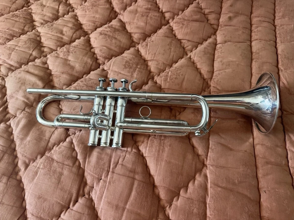 舍尔奇黄铜号角| eBay