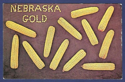 Greetings From Nebraska The Cornhusker State and Nebraska Gold