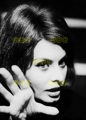 Foto - Sophia Loren Candid Portrait, 60er Jahre
