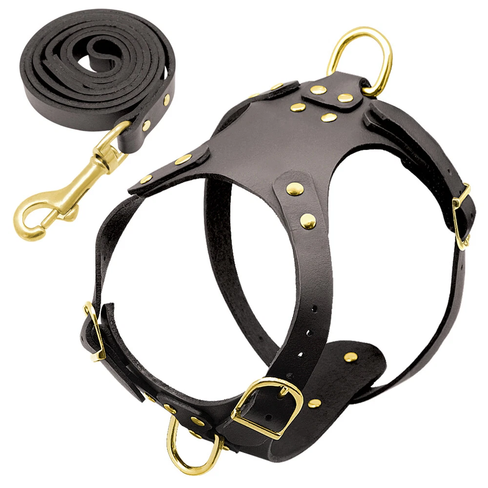 Front lead best sale leash