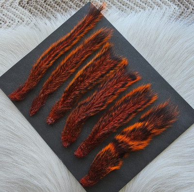 Squirrel Tail. (6)   Natural Grey Squirrel Tail Dyed In Color Orange..
