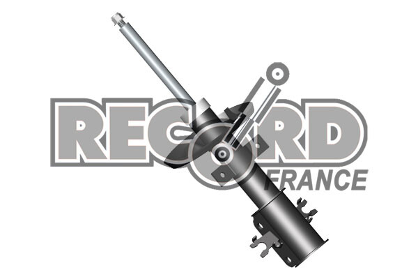 Amortisseur RECORD FRANCE 334649 supprimez les claquements et le roulis du train arriere