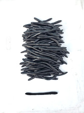 Super Floater Worms, 100 pcs - 4" - Soft Plastic Baits Lot - Spoprtsmans - Black