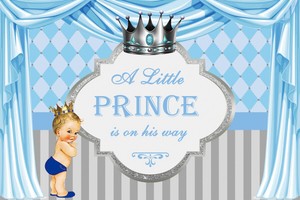 little prince baby shower