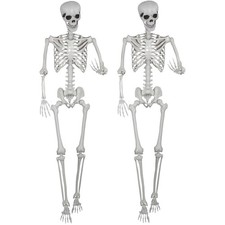 5.9ft Halloween Life Size Skeleton Realistic Full Body Skeletons Plastic Huma...