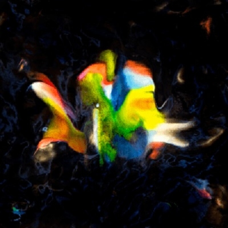 Флавьен Бергер/Contraband 02 - Летний диск PAN090LP, Новая пластинка