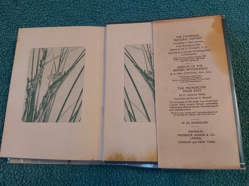 Wayside & Woodland, Schmetterlinge der britischen Inseln, Süden, 1960, HB mit DJ - Bild 5 von 16