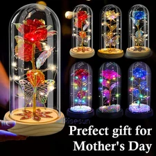 Best Gifts for Wife Women Wife Gifts for Her LED Rose In Glass Mother's Day Gift