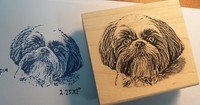 P14 Shitzu Dog Rubber Stamp Wm 2.3x2 P14 Shitzu Dog Rubber Stamp Wm 2.3x2